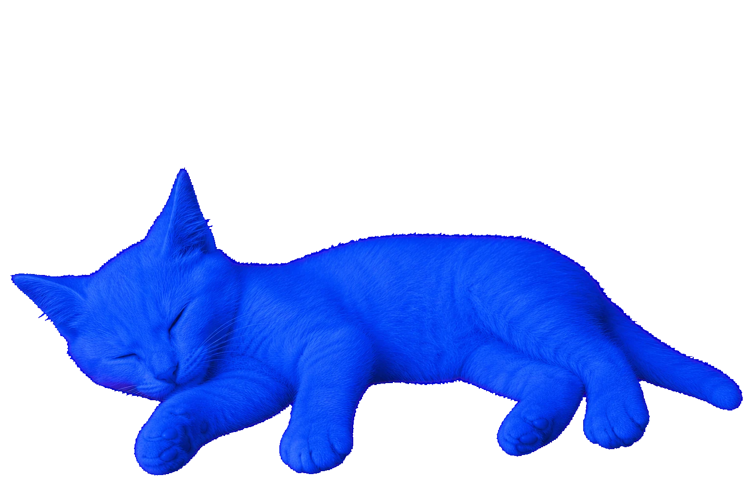 Blue Screen Cat lying down